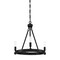 Designers Fountain Fiora 3 Light Rustic Black Chandelier For Dining Rooms 92583-BK - alternate 1